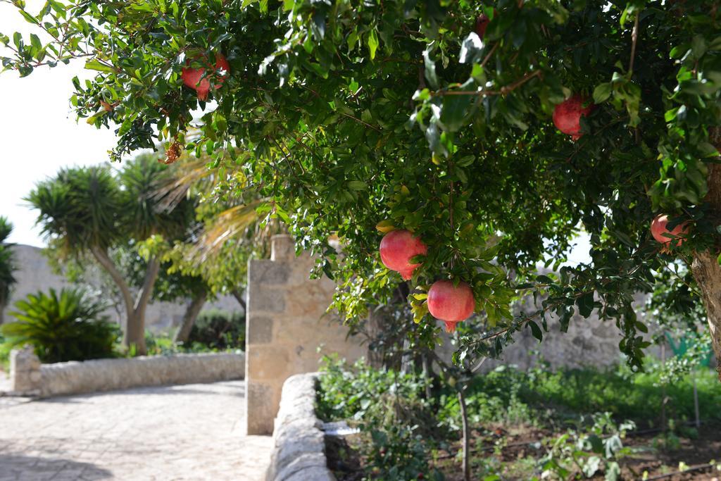 Relais Cimillà Séjour à la campagne